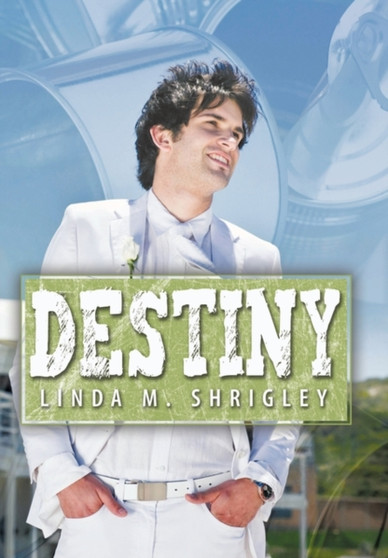 Destiny by Linda M. Shrigley - Hardback