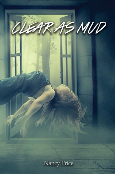 Clear As Mud by Nancy Price - Paperback