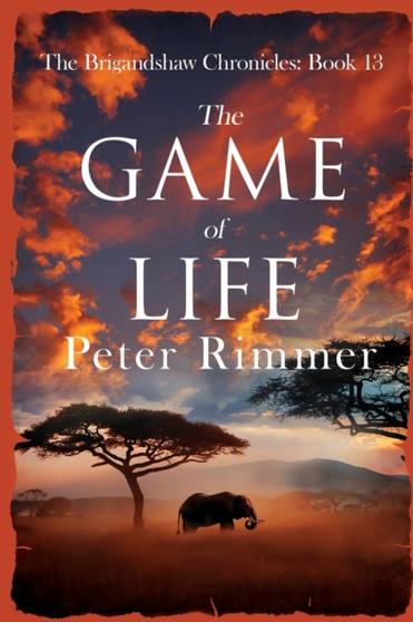 The Game of Life by Peter Rimmer - Paperback