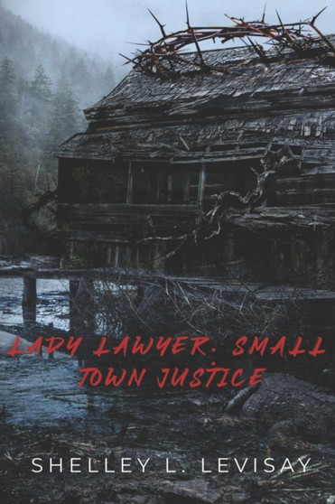 Lady Lawyer : Small Town Justice : 1 by Shelley L Levisay - Paperback