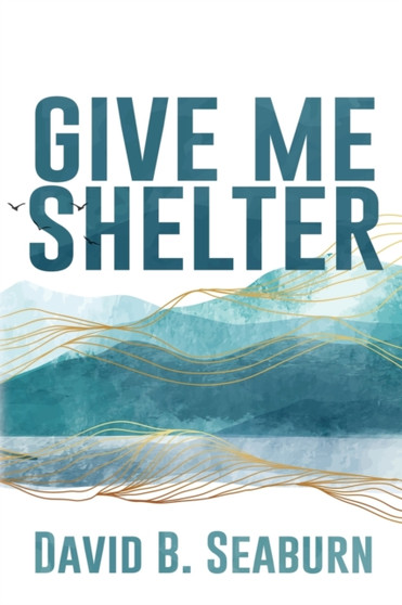 Give Me Shelter by David B Seaburn - Paperback