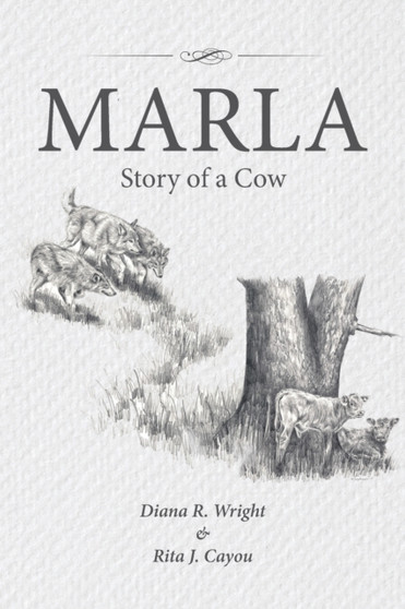 Marla : Story of a Cow by Diana R Wright - Paperback