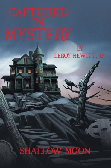 Captured in Mystery : Shallow Moon by Leroy Jr Hewitt - Paperback