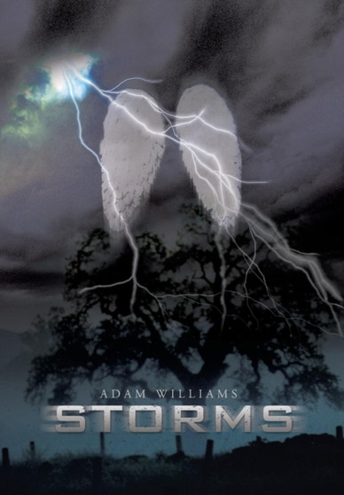 Storms by Adam Williams - Hardback