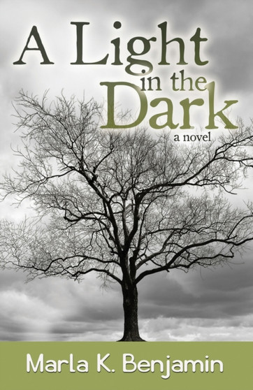 A Light in the Dark by Marla K. Benjamin - Paperback