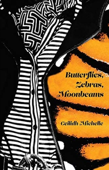 Butterflies, Zebras, Moonbeams by Ceilidh Michelle - Paperback