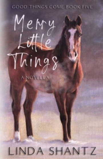Merry Little Things : Good Things Come Book 5 : 5 by Linda Shantz - Paperback