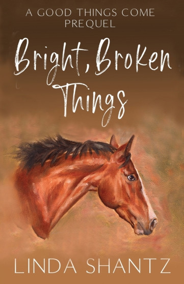 Bright, Broken Things : Good Things Come Book 0.5 (A Prequel) by Linda Shantz - Paperback
