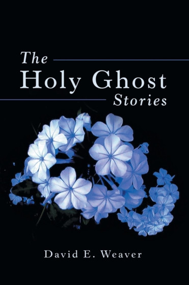 The Holy Ghost Stories by David E Weaver - Paperback