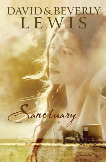 Sanctuary by David Lewis - Paperback
