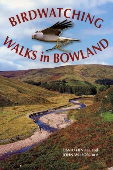 Birdwatching Walks in Bowland by David Hindle - Paperback