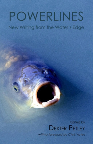 Powerlines : New Writing from the Water's Edge by Dexter Petley - Paperback