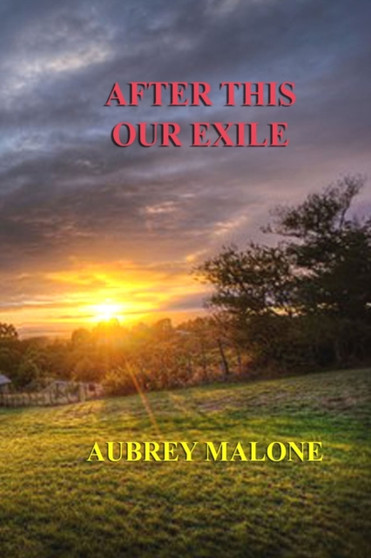 After This Our Exile by Aubrey Malone - Paperback