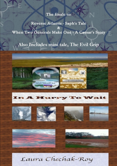In A Hurry To Wait by Laura Chechak-Roy - Paperback