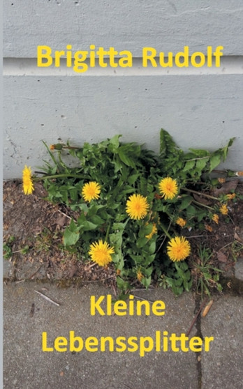 Kleine Lebenssplitter by Brigitta Rudolf - Paperback