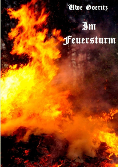 Im Feuersturm : Grete Minde by Uwe Goeritz - Paperback