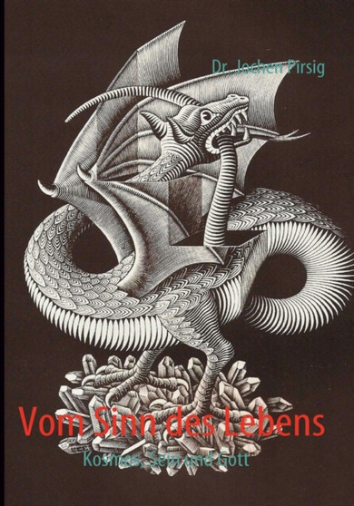 Vom Sinn des Lebens : Kosmos, Sein und Gott by Jochen Pirsig - Paperback