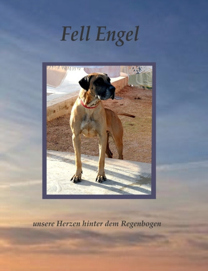 Fell Engel : Unsere Herzen hinter dem Regenbogen by Daniela Seegardel - Paperback