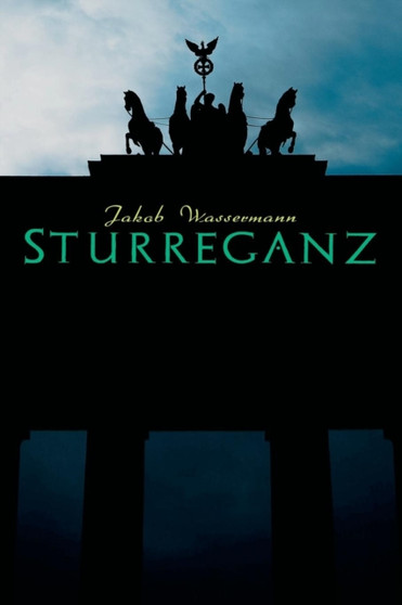 Sturreganz by Jakob Wassermann - Paperback