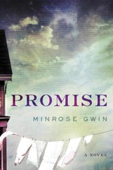 Promise : A Novel by Minrose Gwin - Hardback