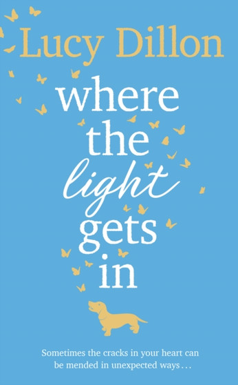 Where The Light Gets In : The Sunday Times bestseller by Lucy Dillon - Hardback
