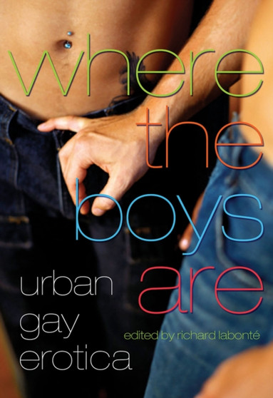 Where the Boys are : Urban Gay Erotica by Richard Labonte - Paperback