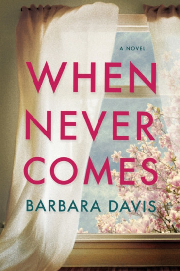 When Never Comes by Barbara Davis - Hardback
