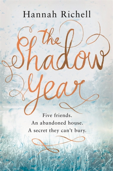 The Shadow Year by Hannah Richell - Hardback