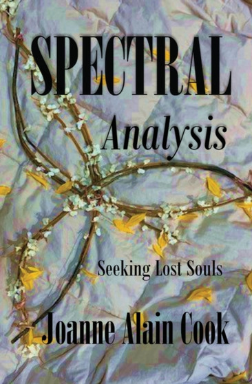 Spectral Analysis : Seeking Lost Souls : 1 by Joanne Alain Cook - Paperback