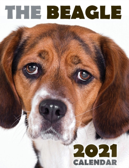 The Beagle 2021 Calendar by Over the Wall Dogs - Paperback