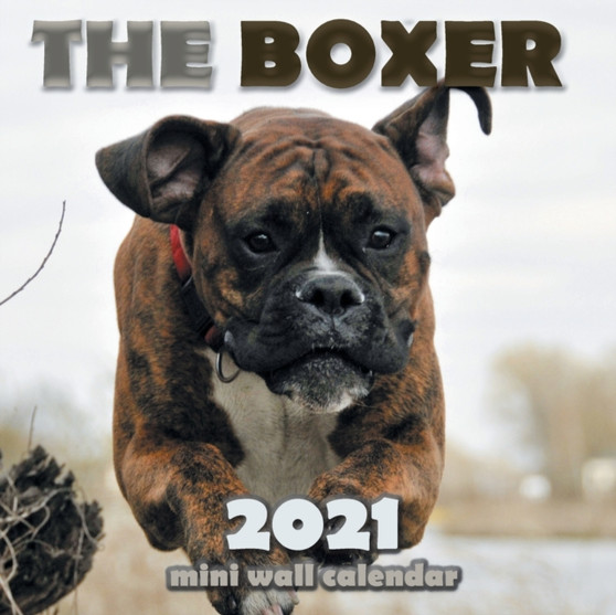 The Boxer 2021 Mini Wall Calendar by Over the Wall Dogs - Paperback