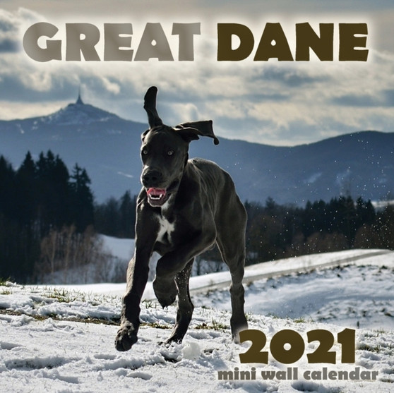 Great Dane 2021 Mini Wall Calendar by Over the Wall Dogs - Paperback