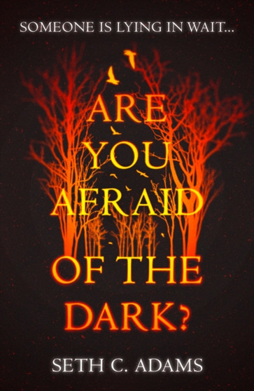 Are You Afraid of the Dark? by Seth C. Adams - Paperback