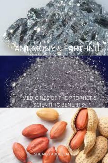 Antimony & Earthnut & Truffles : Medicines Of The Prophet by Shuaibu Abdullahi - Paperback