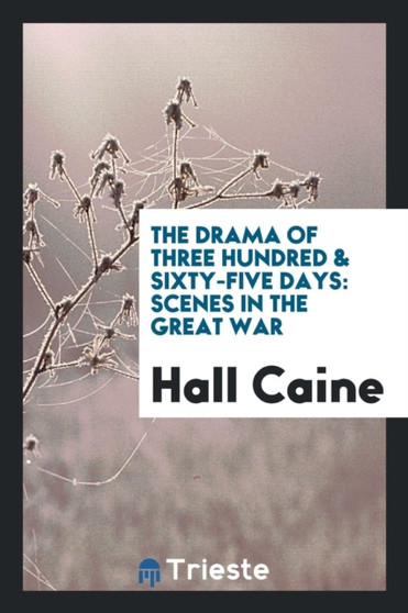 The Drama of Three Hundred & Sixty-Five Days : Scenes in the Great War by Hall Sir Caine - Paperback