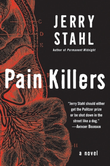 Pain Killers : A Novel by Jerry Stahl - Hardback