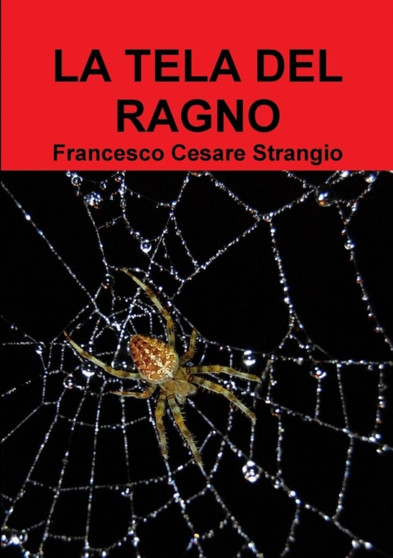 Il Mio Libro a Copertina Morbida by Francesco Cesare Strangio - Paperback