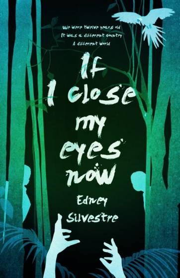 If I Close My Eyes Now by Edney Silvestre - Hardback