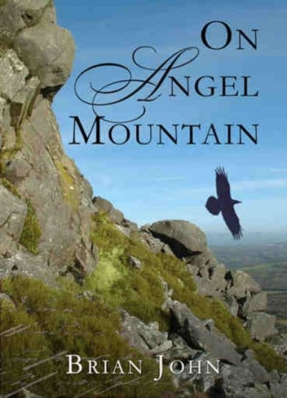 On Angel Mountain : Part One of the Angel Mountain Saga : Pt. 1 by Brian John - Paperback