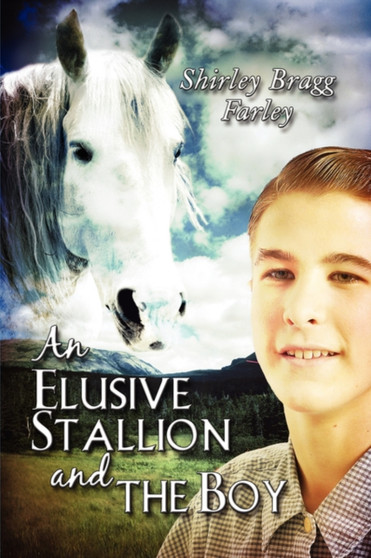 An Elusive Stallion and the Boy by Shirley Bragg Farley - Paperback