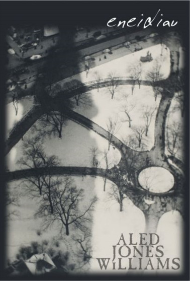 Eneidiau by Aled Jones Williams - Paperback