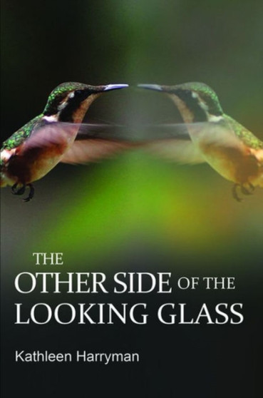 The Other Side of the Looking Glass by Kathleen Harryman - Hardback