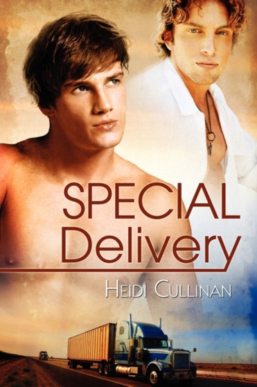 Special Delivery by Heidi Cullinan - Paperback