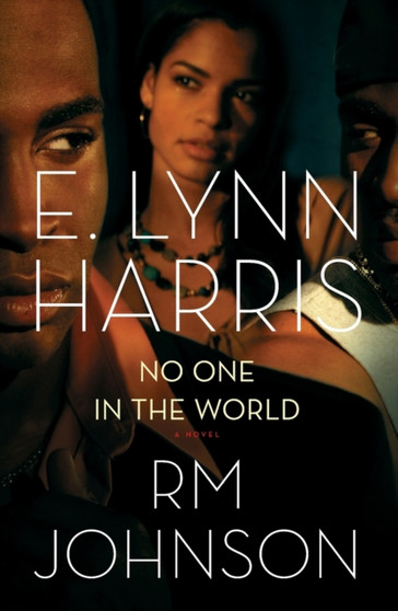 No One In The World by E.Lynn Harris - Paperback