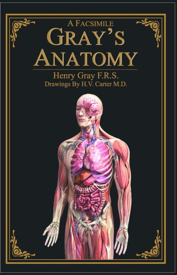 A Facsimile Gray's Anatomy by F.R.S. Henry Gray - Paperback