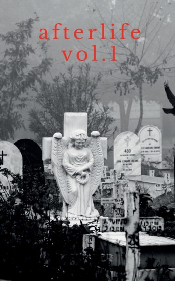 afterlife vol. 1 by Yogendra Nikale - Paperback
