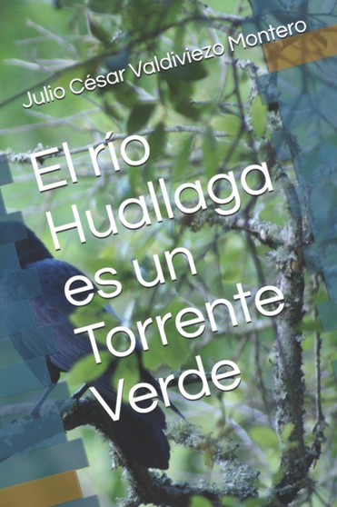 El rio Huallaga es un Torrente Verde by Julio Cesar Valdiviezo Montero - Paperback