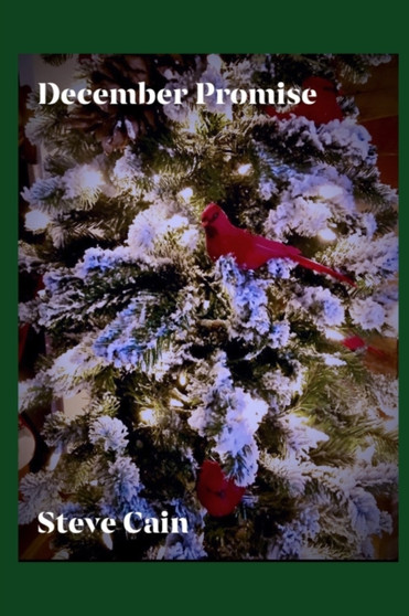 December Promise by Steve Cain - Paperback