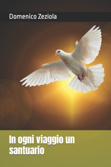 In ogni viaggio un santuario by Domenico Zeziola - Paperback