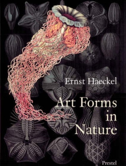 Art Forms in Nature : The Prints of Ernst Haeckel by Olaf Breidbach - Paperback